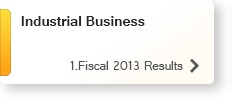 Industrial Business 1.Fiscal 2013 Results