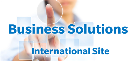 Business Solutions International Site