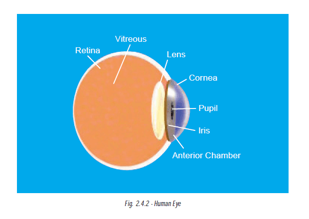 Fig.2.4.2