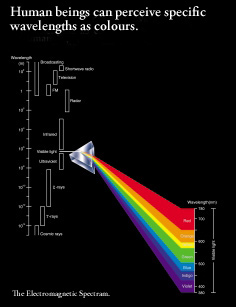 Human beings can perceive specific wavelengths as colours.