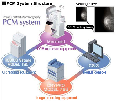 PCM System Structure