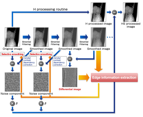New Image Processing (HS Processing)