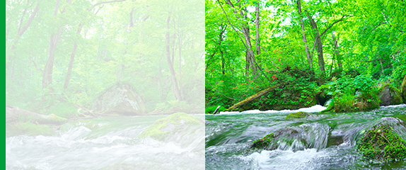 environment activities sustainability konica minolta