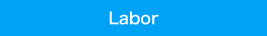 Labor