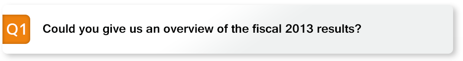 Could you give us an overview of the fiscal 2013 results?