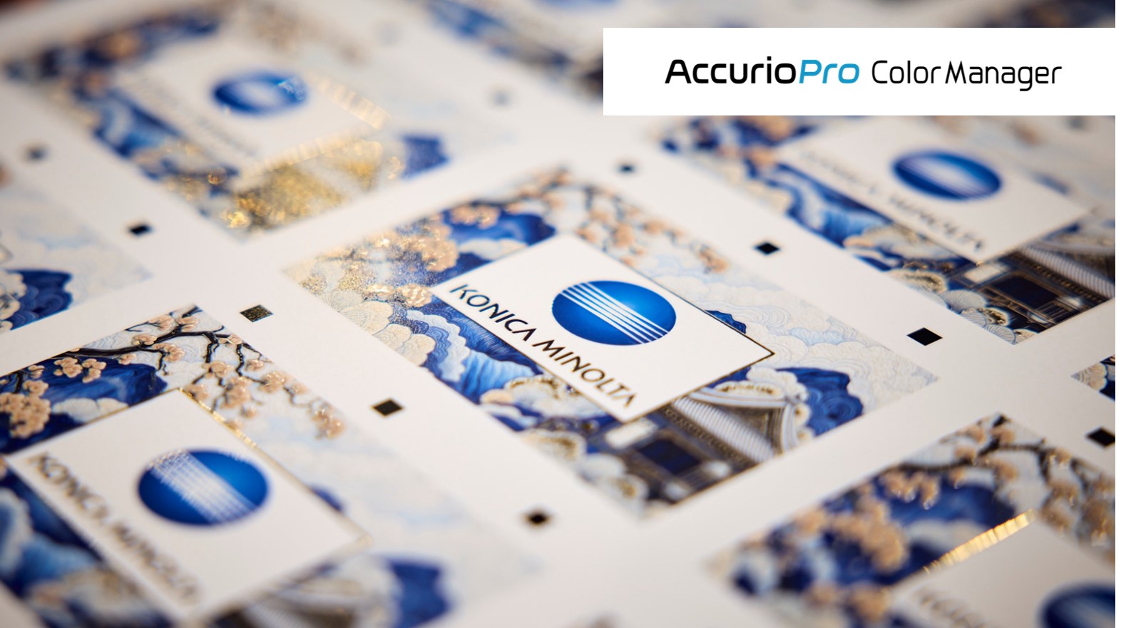 AccurioPro Color Manager