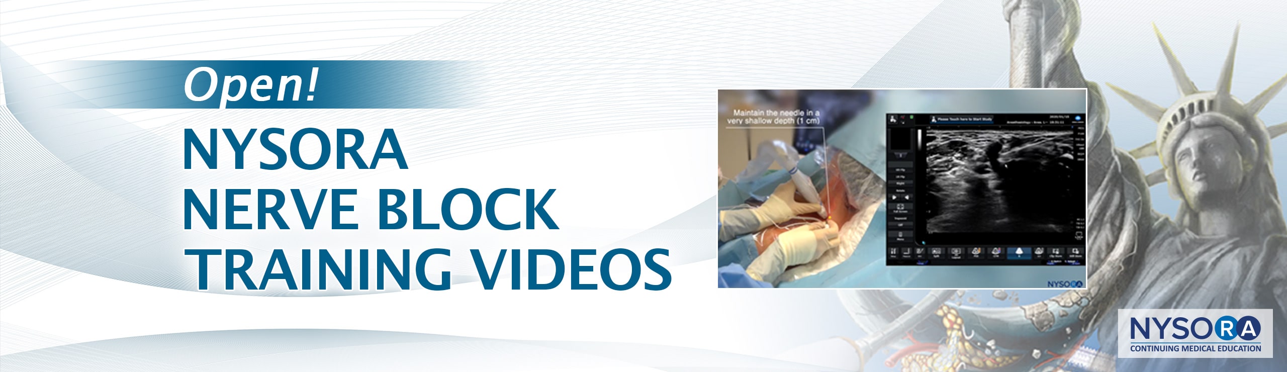 Ultrasound-guided nerve block