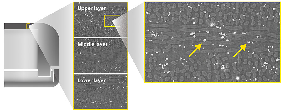 Antibacterial carbon enchosure