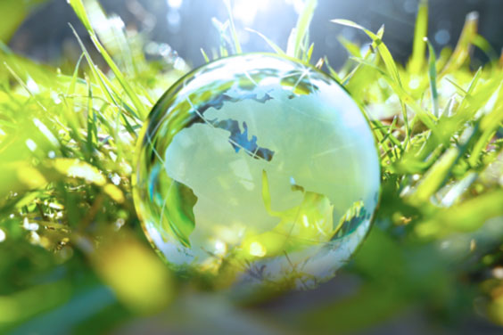 Sustainability