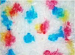 Enlarged photo of a print made with other ink