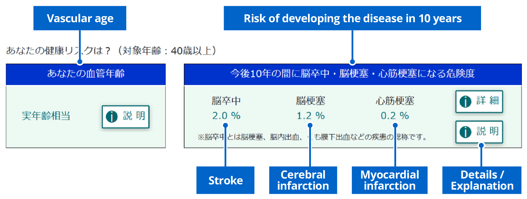 Screen image showing an example of how future disease risks are presented on the website. Vascular age and the individual risk of stroke, cerebral infarction or myocardial infarction over the next ten years are displayed for each person (for employees aged 40 and over).