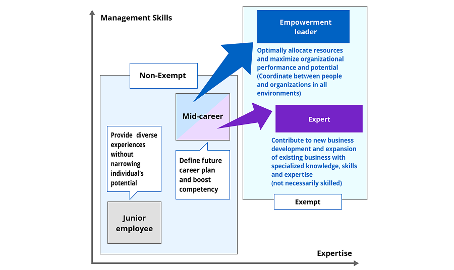 Image of multi-track career paths