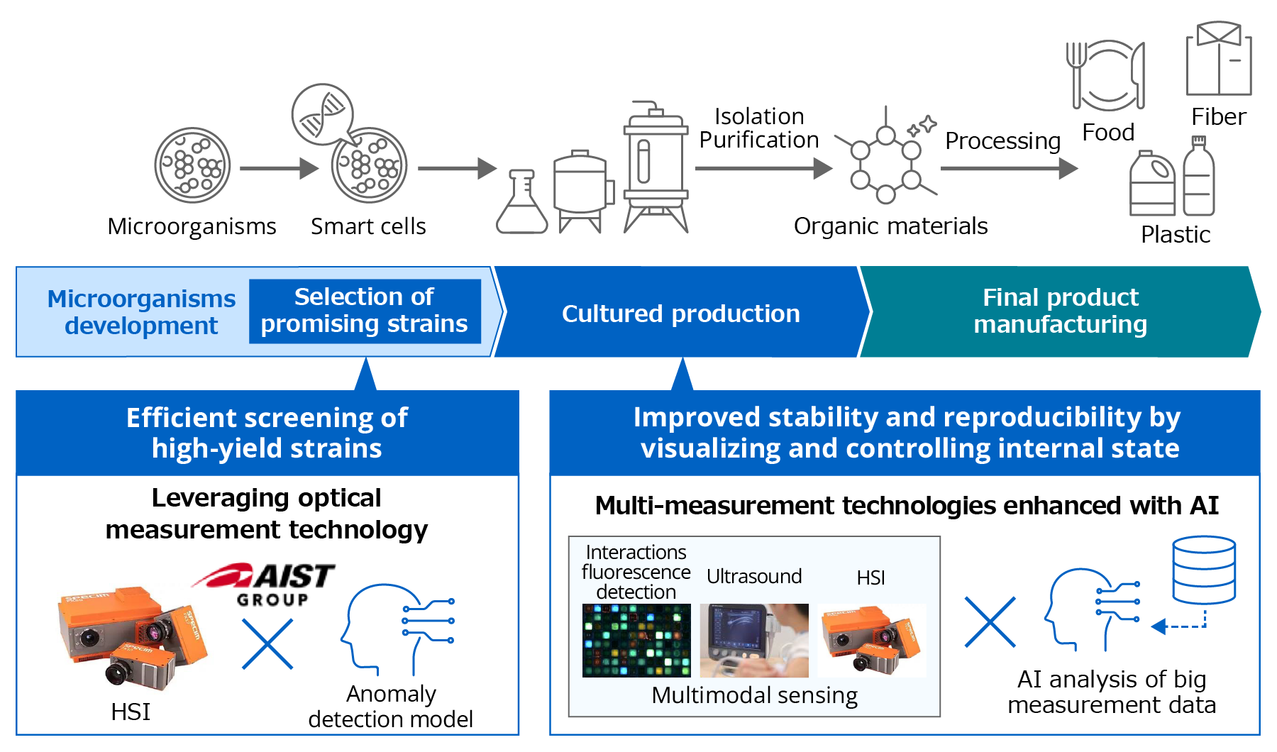 Diagram showing the three stages of biomanufacturing—microorganism development (identifying superior strains), culture production, and final product manufacturing—and how Konica Minolta contributes by screening high-yield strains with optical measurement such as HSI and AI at the strain identification stage, and by visualizing and controlling conditions inside the tank with multimodal sensing and AI analysis during culture production