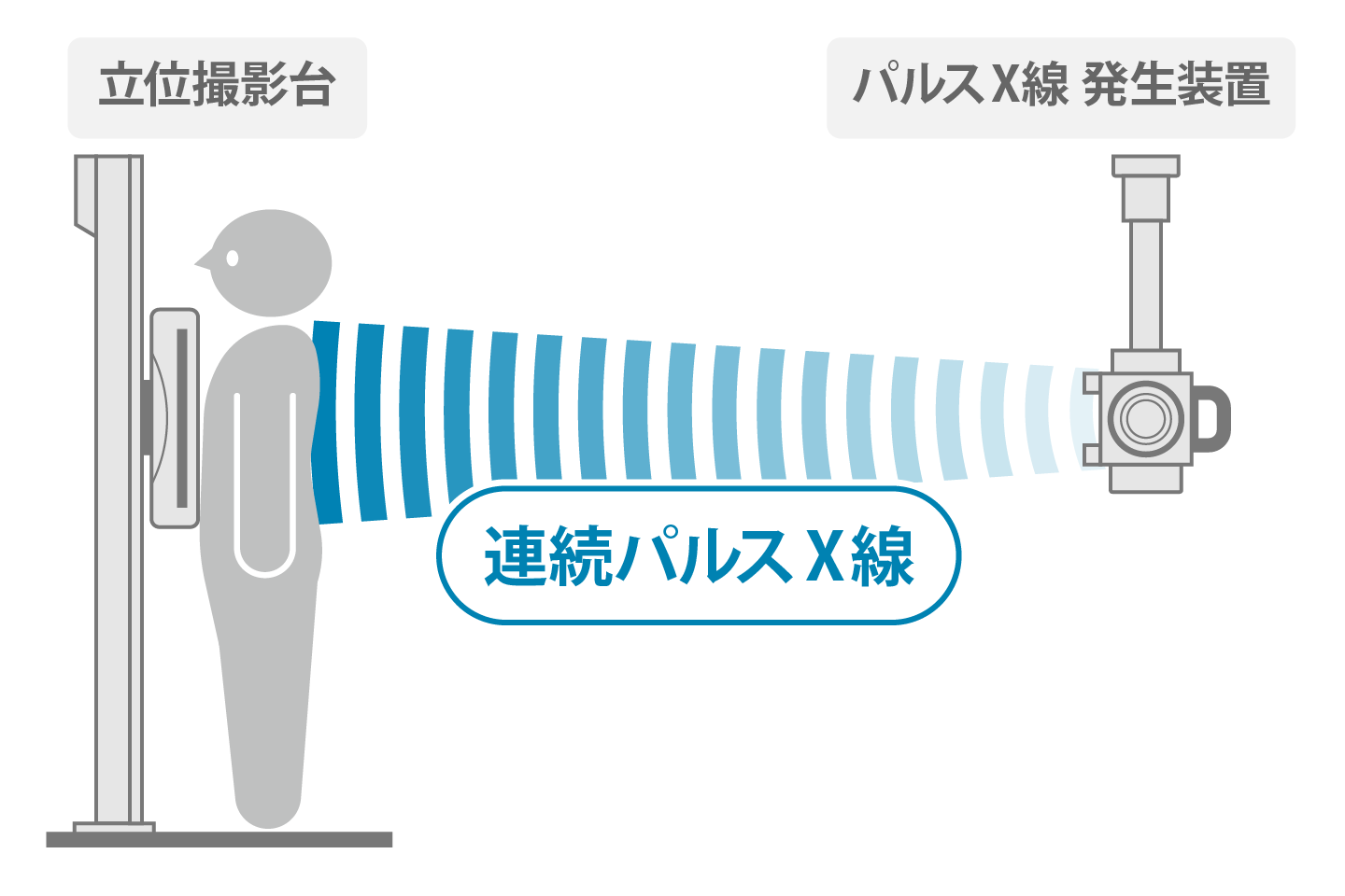 「X線動態」のイメージ図