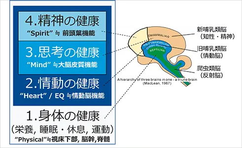 図：レジリエンスプログラムにおけるアプローチ