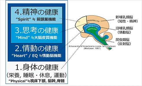 図：レジリエンスプログラムにおけるアプローチ