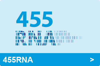 サムネイル：455RNA