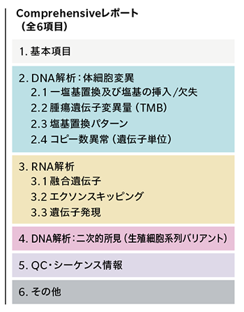 Comprehensiveレポート（全6項目）