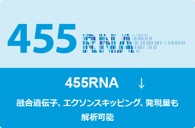 サムネイル：455RNA/融合遺伝子、エクソンスキッピング、発現量も解析可能