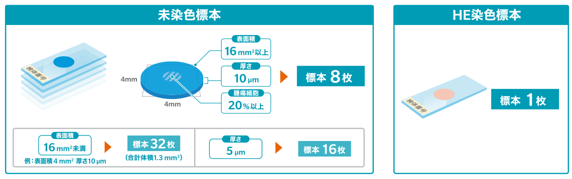 未染色標本およびHE染色標本のグラフ