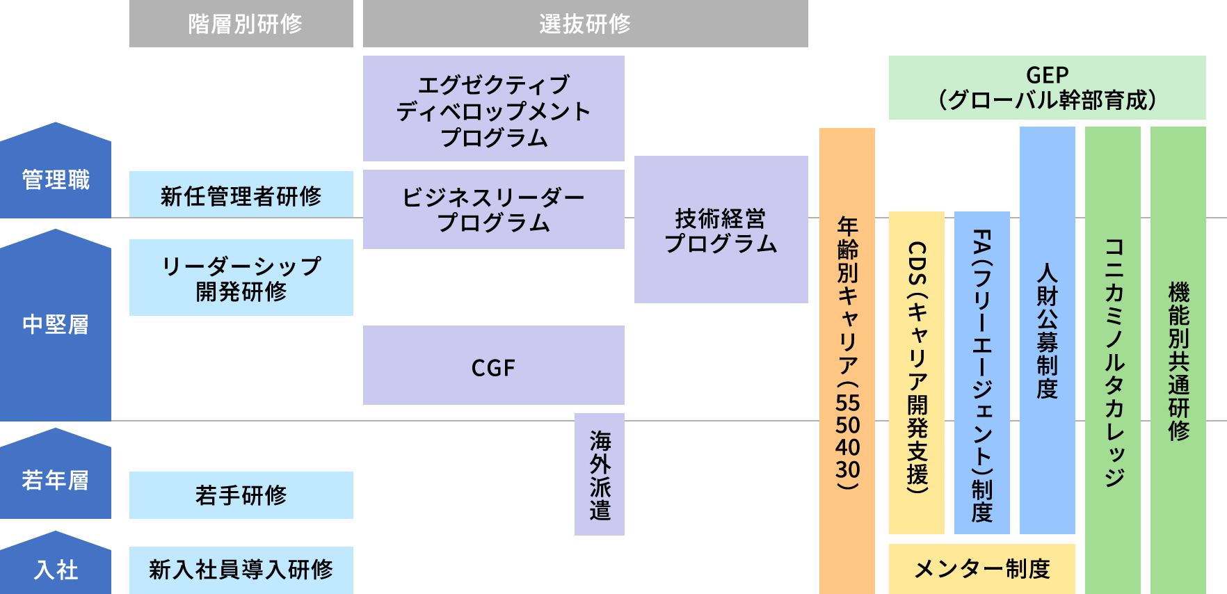 能力開発