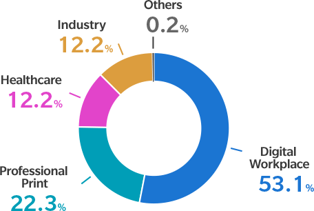 Digital Workplace 53.1% / Professional Print 22.3% / Healthcare 12.2% / Industry 12.2% / Others 0.2%