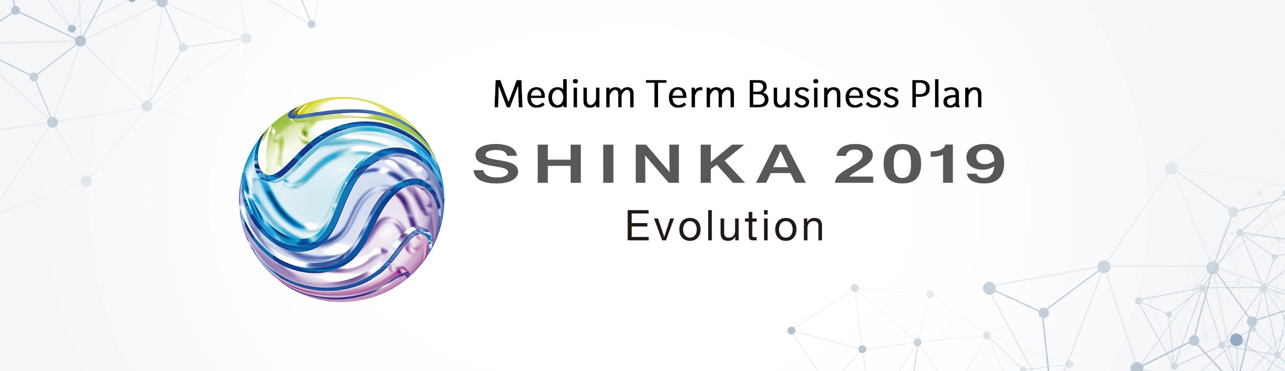 Medium Term Business Plan SHINKA 2019 Evolution