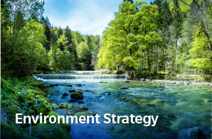 Environment Strategy