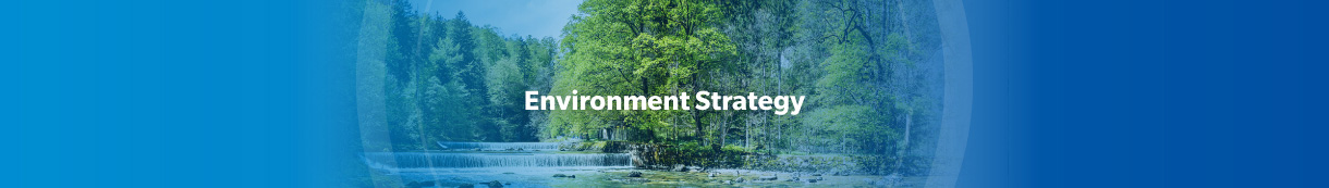 Environment Strategy