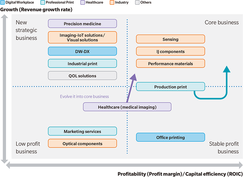 Business portfolio management