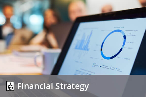 Financial Strategy