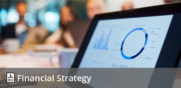 Financial Strategy