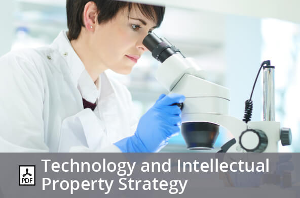 Technology and Intellectual Property Strategy