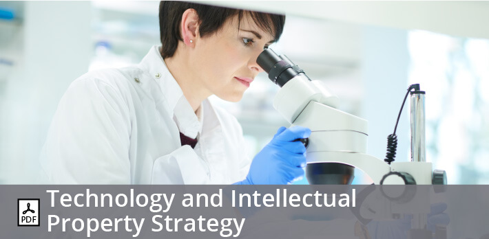 Technology and Intellectual Property Strategy