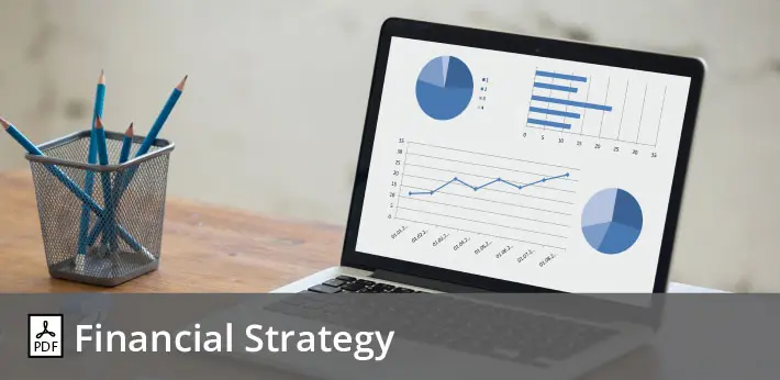 Financial Strategy
