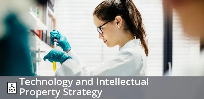 Technology and Intellectual Property Strategy