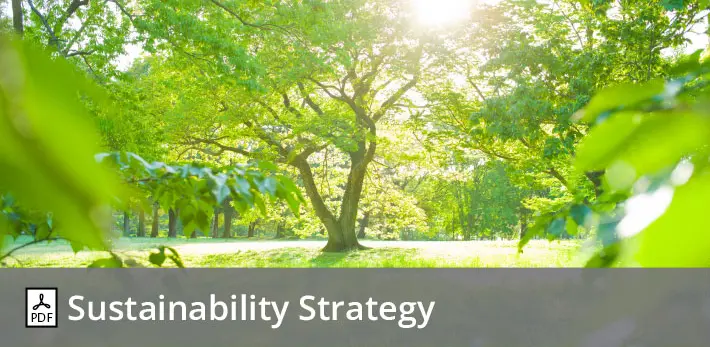 Sustainability Strategy