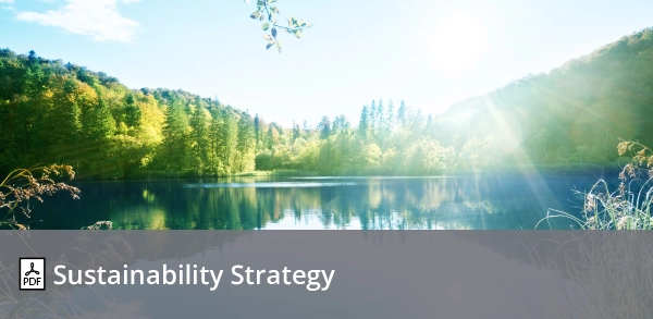 Sustainability Strategy
