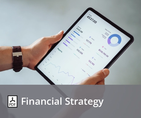 Financial Strategy