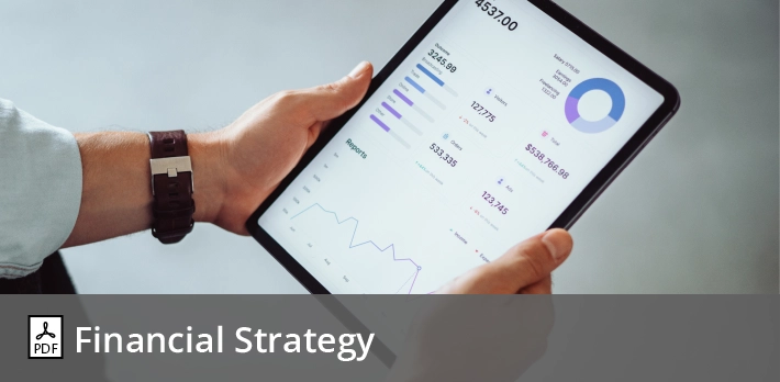 Financial Strategy
