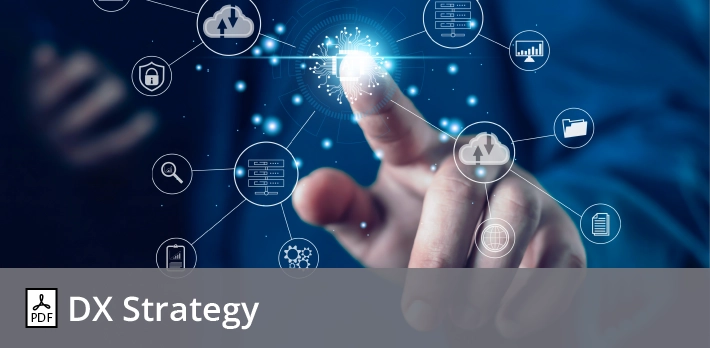 DX Strategy