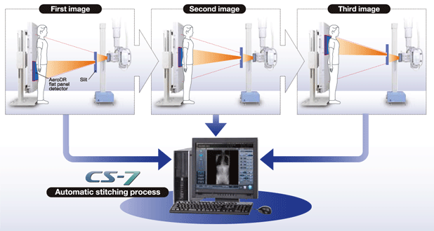 download organization and management of ivf