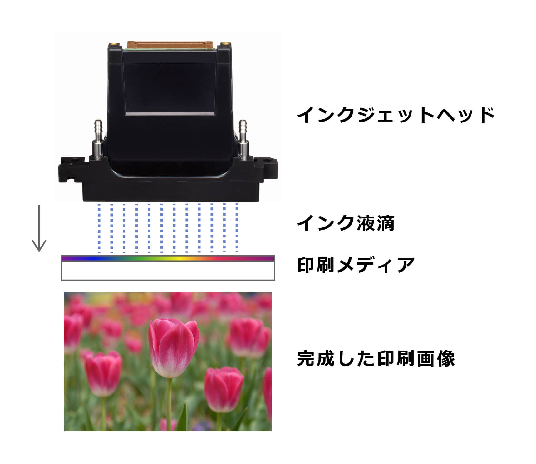 インクジェットとは